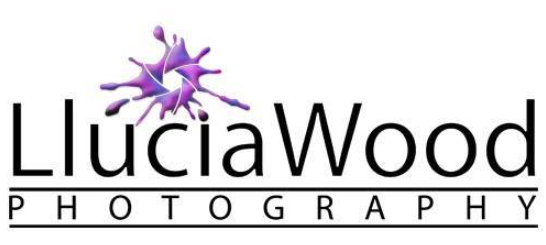 LLucia Wood Photography Logo